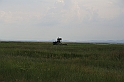 Karpaty+Krym 06.2007 293